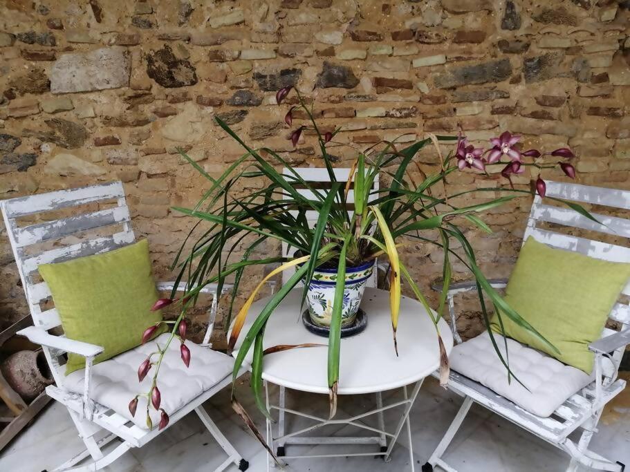 Appartement El Ancla Ac Wifi Parking *
